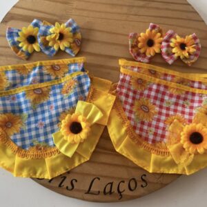 Conjunto festa junina